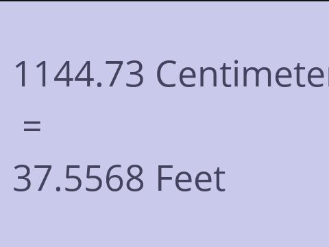 1144.73 CM TO FEET