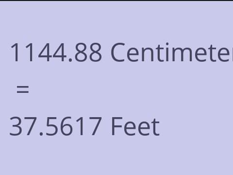 1144.88 CM TO FEET