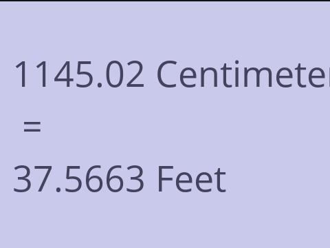 1145.02 CM TO FEET