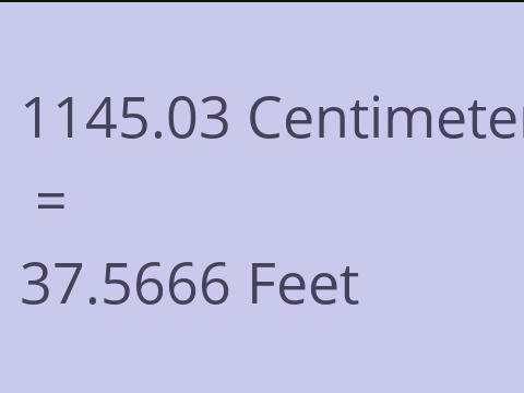 1145.03 CM TO FEET