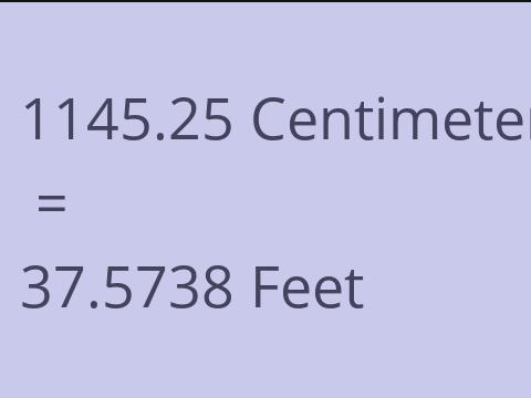 1145.25 CM TO FEET