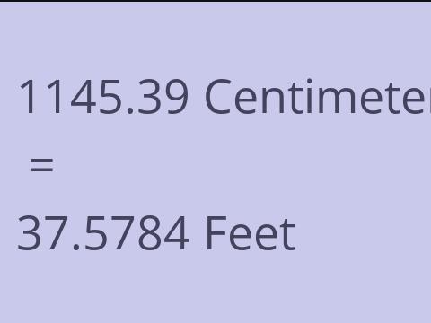 1145.39 CM TO FEET