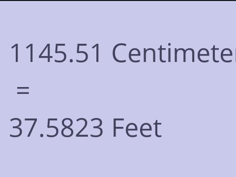 1145.51 CM TO FEET