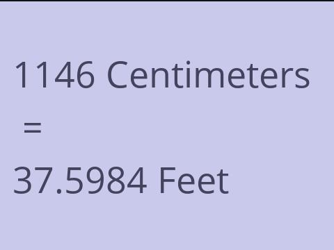 1146 CM TO FEET