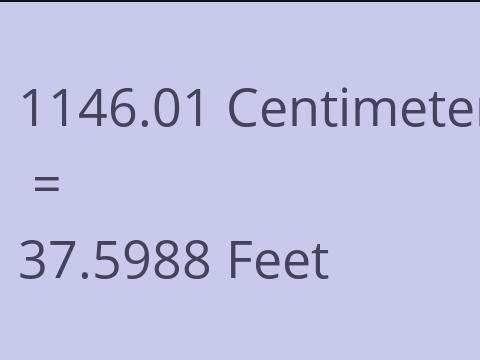 1146.01 CM TO FEET