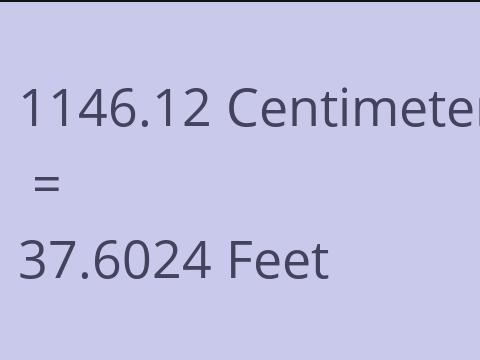 1146.12 CM TO FEET