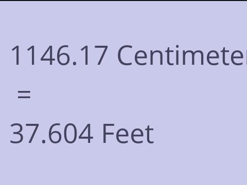 1146.17 CM TO FEET