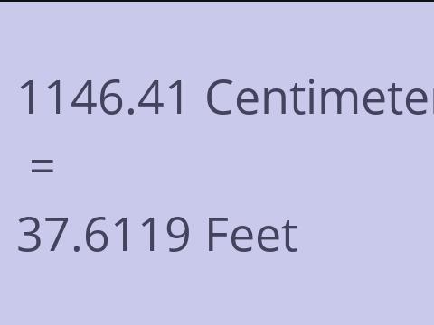 1146.41 CM TO FEET