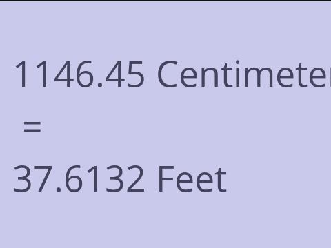 1146.45 CM TO FEET