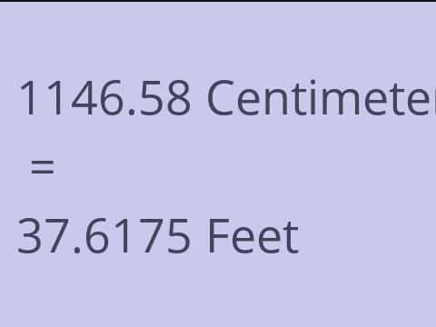 1146.58 CM TO FEET