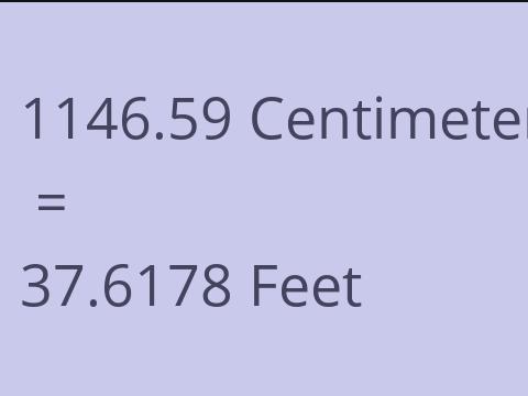 1146.59 CM TO FEET