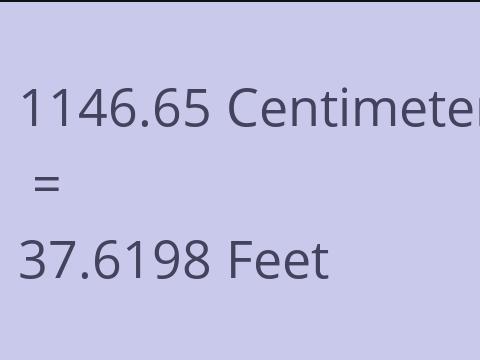 1146.65 CM TO FEET