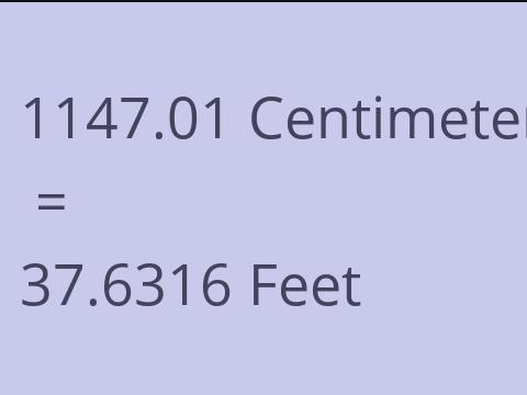 1147.01 CM TO FEET