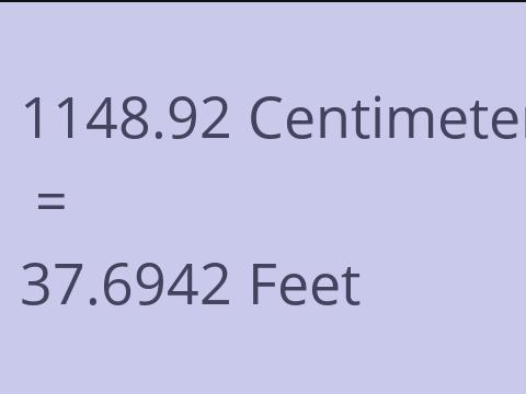 1148.92 CM TO FEET