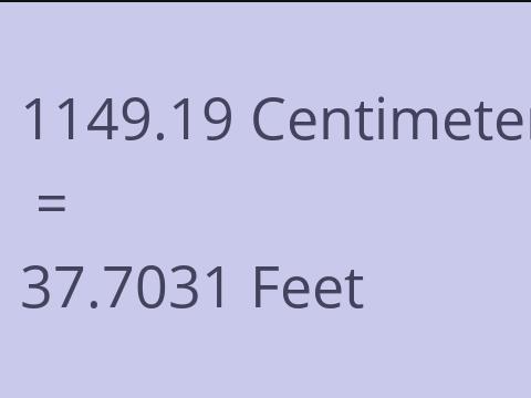 1149.19 CM TO FEET