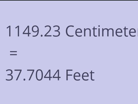 1149.23 CM TO FEET