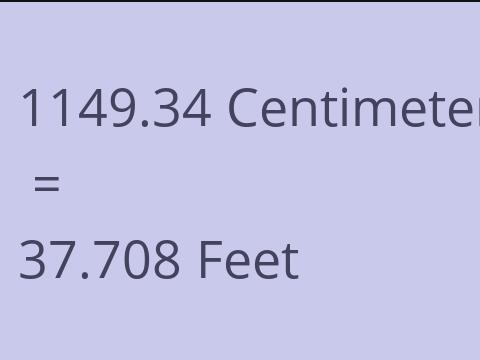 1149.34 CM TO FEET