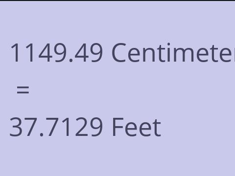 1149.49 CM TO FEET