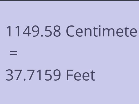 1149.58 CM TO FEET