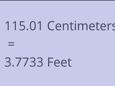 115.01 CM TO FEET