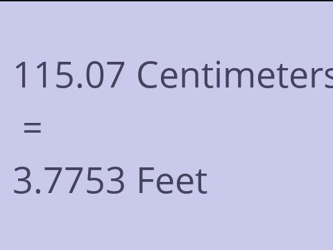 115.07 CM TO FEET