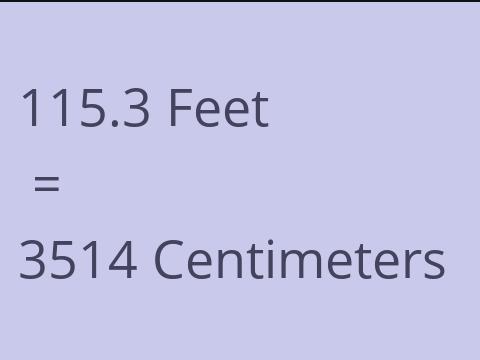 115.3 FEET TO CM