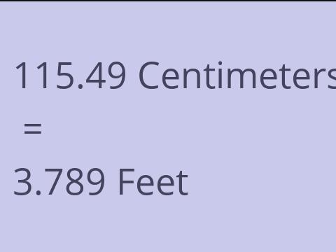 115.49 CM TO FEET