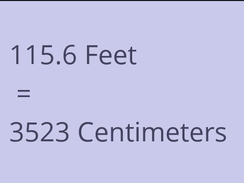 115.6 FEET TO CM