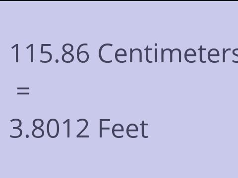 115.86 CM TO FEET