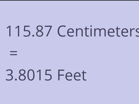 115.87 CM TO FEET