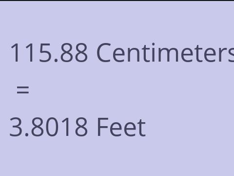 115.88 CM TO FEET