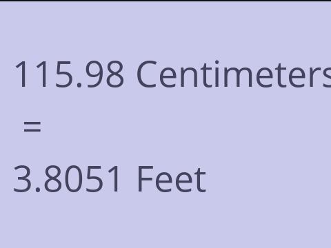 115.98 CM TO FEET