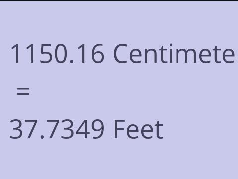 1150.16 CM TO FEET