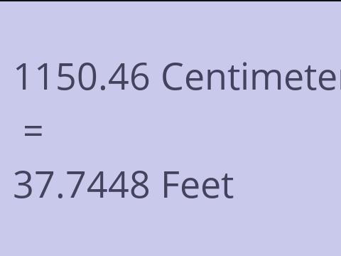 1150.46 CM TO FEET