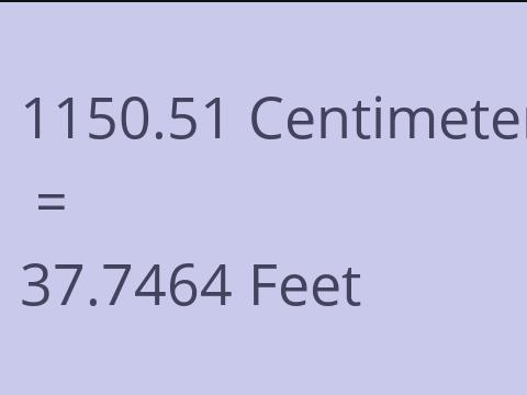 1150.51 CM TO FEET