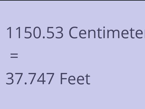 1150.53 CM TO FEET