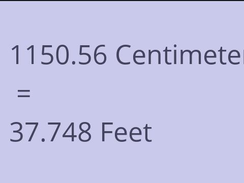 1150.56 CM TO FEET