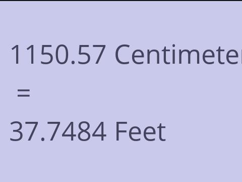 1150.57 CM TO FEET