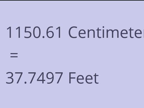 1150.61 CM TO FEET