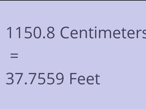 1150.8 CM TO FEET