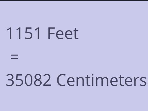 1151 FEET TO CM