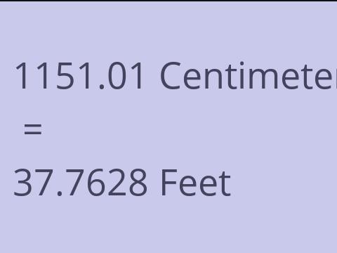 1151.01 CM TO FEET