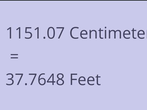 1151.07 CM TO FEET