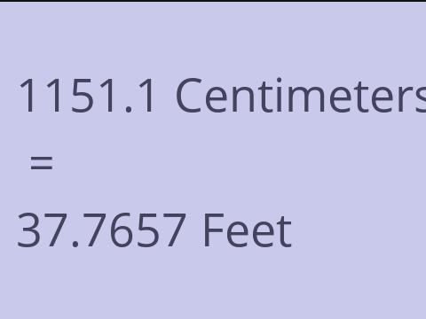 1151.1 CM TO FEET