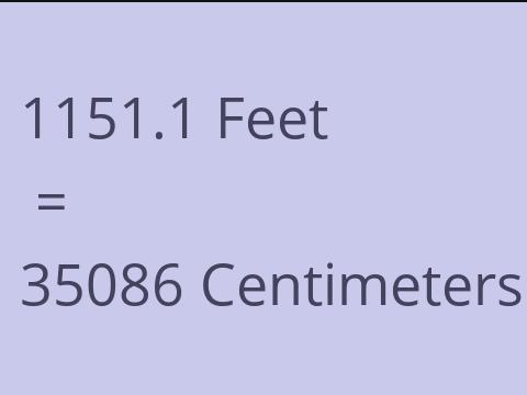 1151.1 FEET TO CM