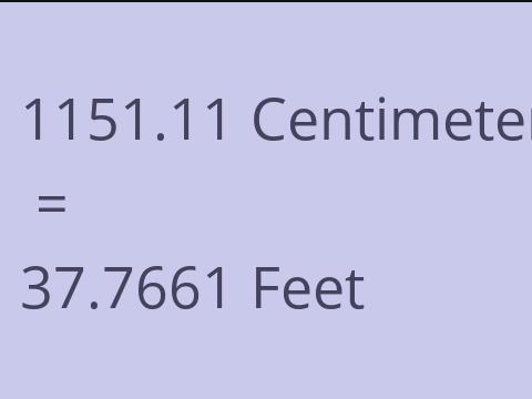 1151.11 CM TO FEET