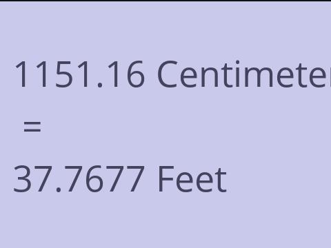 1151.16 CM TO FEET