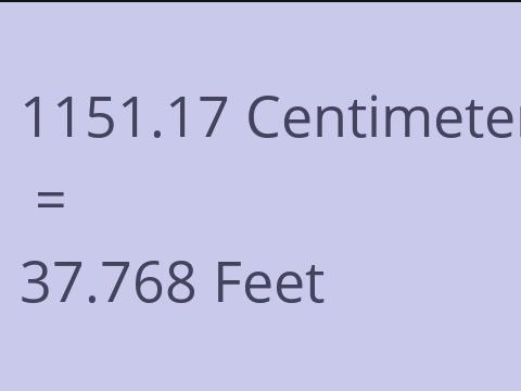 1151.17 CM TO FEET