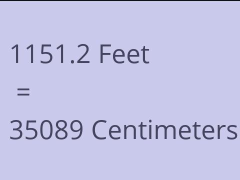 1151.2 FEET TO CM