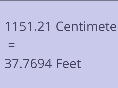 1151.21 CM TO FEET